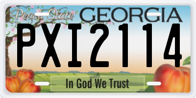 GA license plate PXI2114