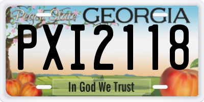 GA license plate PXI2118