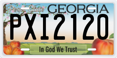 GA license plate PXI2120