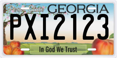 GA license plate PXI2123