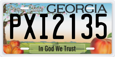 GA license plate PXI2135