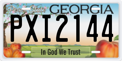 GA license plate PXI2144