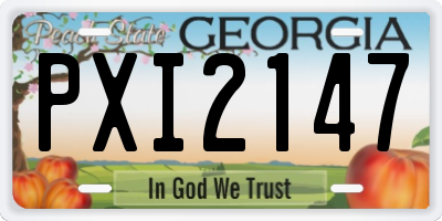 GA license plate PXI2147