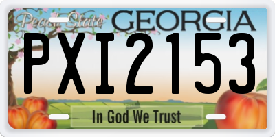 GA license plate PXI2153