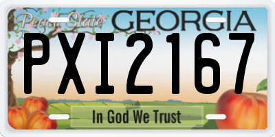GA license plate PXI2167