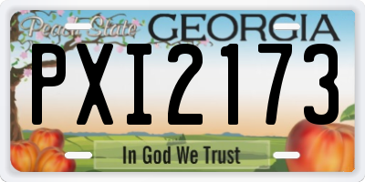 GA license plate PXI2173
