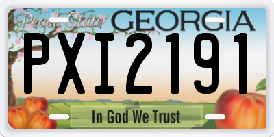 GA license plate PXI2191