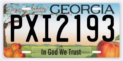 GA license plate PXI2193