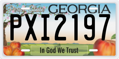 GA license plate PXI2197