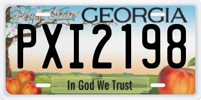 GA license plate PXI2198