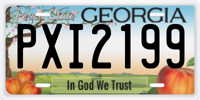 GA license plate PXI2199