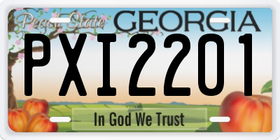 GA license plate PXI2201