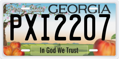 GA license plate PXI2207