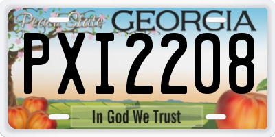 GA license plate PXI2208