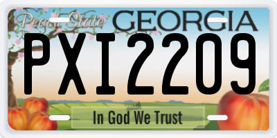GA license plate PXI2209