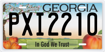 GA license plate PXI2210