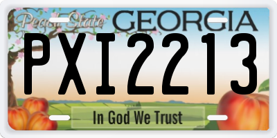 GA license plate PXI2213