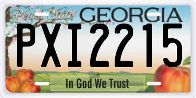 GA license plate PXI2215