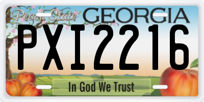 GA license plate PXI2216
