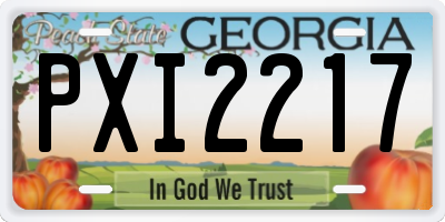 GA license plate PXI2217