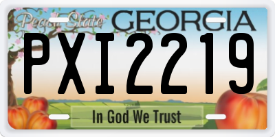 GA license plate PXI2219