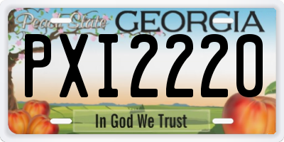 GA license plate PXI2220