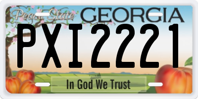 GA license plate PXI2221