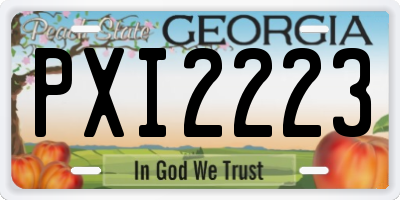 GA license plate PXI2223