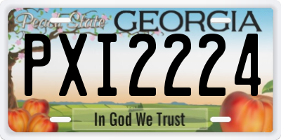 GA license plate PXI2224