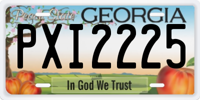 GA license plate PXI2225