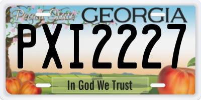 GA license plate PXI2227