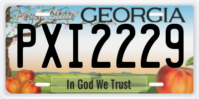 GA license plate PXI2229