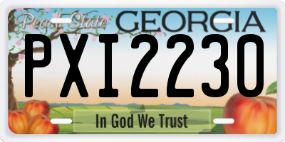 GA license plate PXI2230
