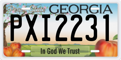 GA license plate PXI2231