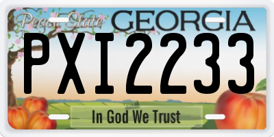 GA license plate PXI2233