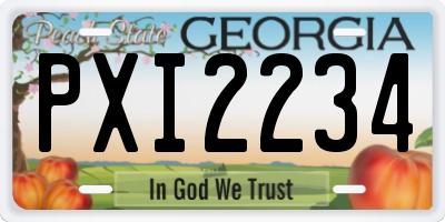 GA license plate PXI2234