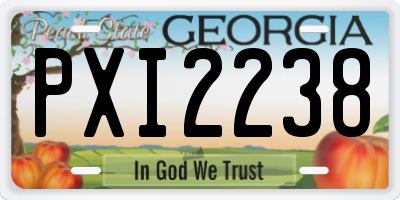 GA license plate PXI2238