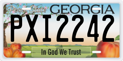 GA license plate PXI2242