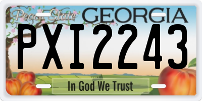 GA license plate PXI2243