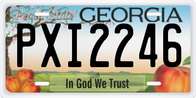 GA license plate PXI2246