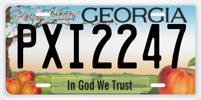 GA license plate PXI2247