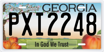 GA license plate PXI2248