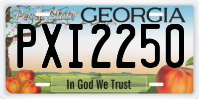 GA license plate PXI2250