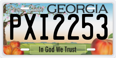 GA license plate PXI2253