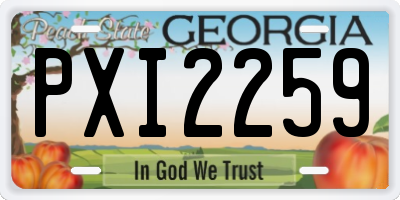GA license plate PXI2259