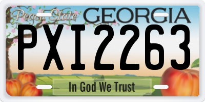 GA license plate PXI2263