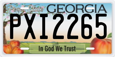 GA license plate PXI2265