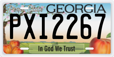 GA license plate PXI2267