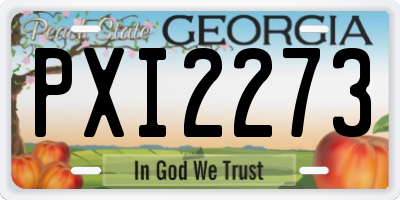 GA license plate PXI2273