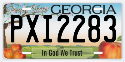 GA license plate PXI2283